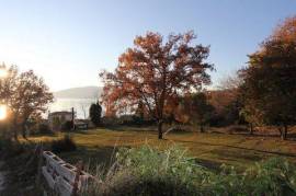 Plot in Kumbor