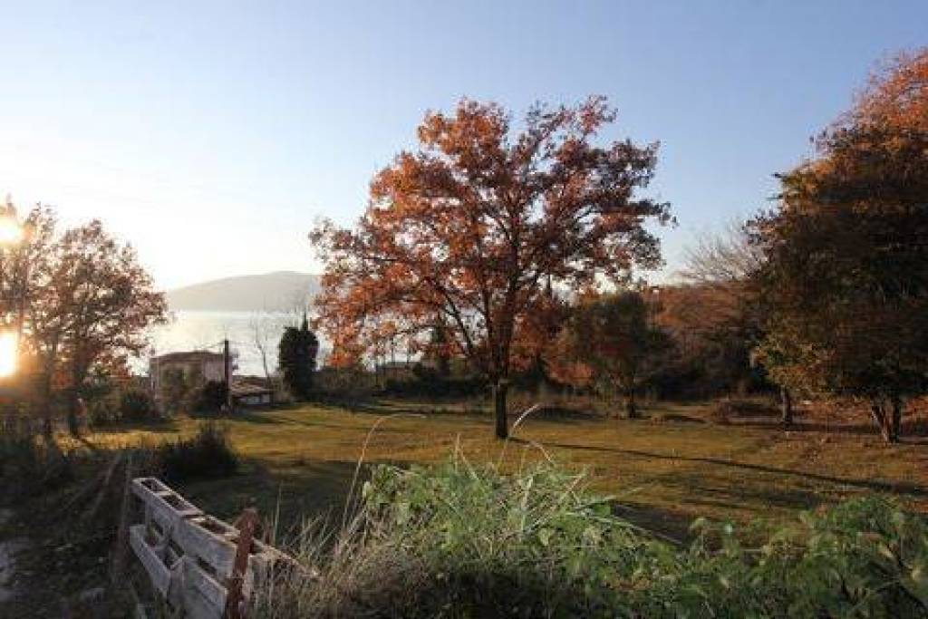 Plot in Kumbor