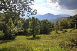 Urbanized 1313 m² plot of land in Kolasin, ideal for residential building