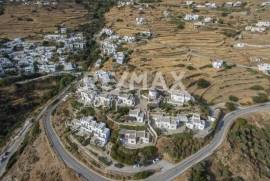 Agricultural 12000 sq.m for sale