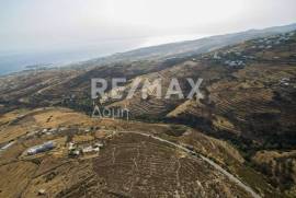 Agricultural 12000 sq.m for sale