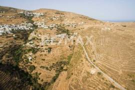 Agricultural 12000 sq.m for sale