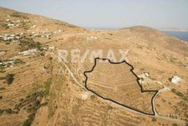 Agricultural 12000 sq.m for sale