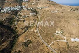 Agricultural 12000 sq.m for sale