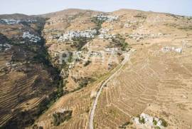Agricultural 12000 sq.m for sale