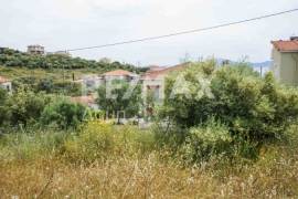 Plot 550 sq.m for sale