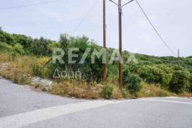 Plot 550 sq.m for sale