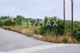 Plot 550 sq.m for sale