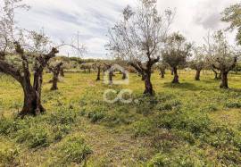 Farmhouse Vila Viçosa Pardais