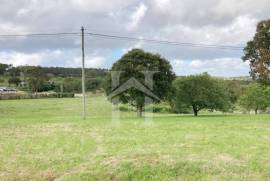 Moradia T3 com Armazém e Terreno de 9 640m2 em Olho Marinho, Óbidos