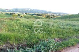 Land Cadaval Murteira