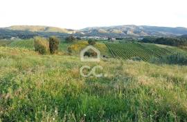 Land Cadaval Murteira