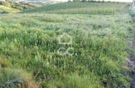 Land Cadaval Murteira