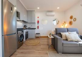 Charming Remodeled Villa with Two Independent Units