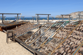 New apartment in central Nazaré | Silver Coast Portugal
