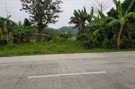Estate With Commercial Building and Multiple land plots For Sale on Siargao Island