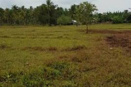 Estate With Commercial Building and Multiple land plots For Sale on Siargao Island