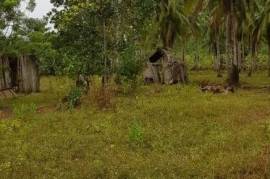 Estate With Commercial Building and Multiple land plots For Sale on Siargao Island