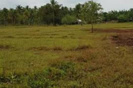 Estate With Commercial Building and Multiple land plots For Sale on Siargao Island