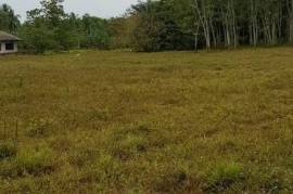 Estate With Commercial Building and Multiple land plots For Sale on Siargao Island