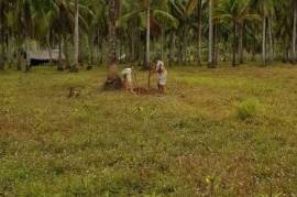 Estate With Commercial Building and Multiple land plots For Sale on Siargao Island