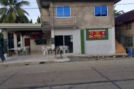Estate With Commercial Building and Multiple land plots For Sale on Siargao Island