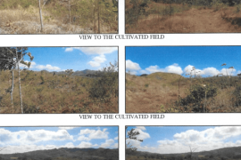 Excellent Plots of land for sale in Rivas State