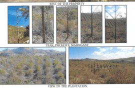 Excellent Plots of land for sale in Rivas State