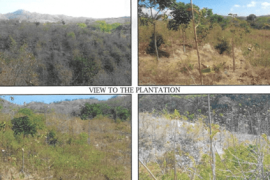 Excellent Plots of land for sale in Rivas State