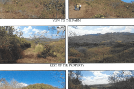 Excellent Plots of land for sale in Rivas State