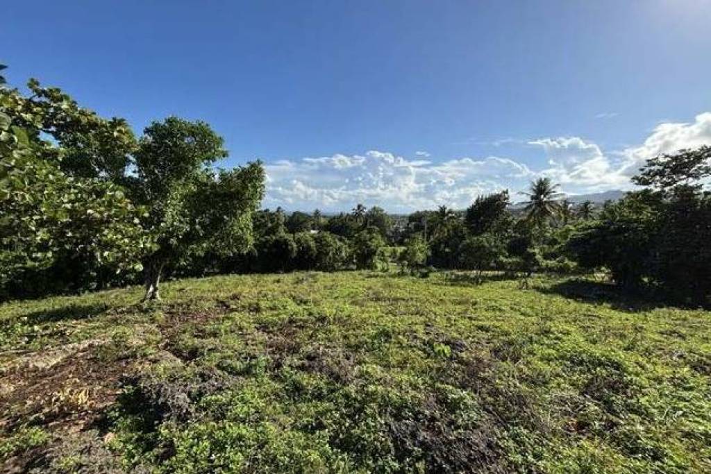 Excellent Plot of land for sale in Las Galeras, Samana Dominican