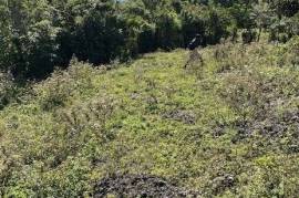 Excellent Plot of land for sale in Las Galeras, Samana Dominican