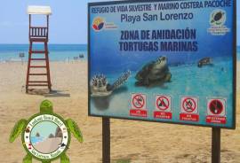 Excellent Beachfront Hotel 15 beds for Sale In Manabi