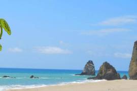 Excellent Beachfront Hotel 15 beds for Sale In Manabi