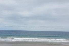 Excellent Beachfront Hotel 15 beds for Sale In Manabi