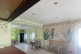 Village Hose with Strong Potential