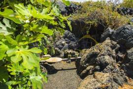11 Bedroom Finca For Sale