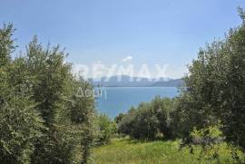 Agricultural 2300 sq.m for sale