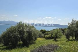 Agricultural 2300 sq.m for sale