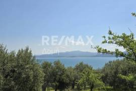Agricultural 2300 sq.m for sale
