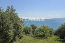 Agricultural 2300 sq.m for sale