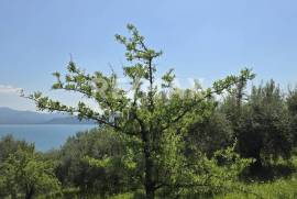 Agricultural 2300 sq.m for sale