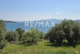 Agricultural 2300 sq.m for sale