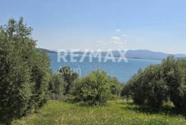 Agricultural 2300 sq.m for sale