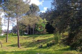 Land Ponte da Barca