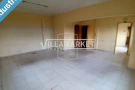 Banking warehouse with 878m2 on a plot of 11,310 m2 located near Chamusca