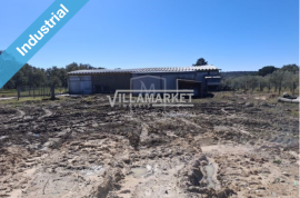 Banking warehouse with 878m2 on a plot of 11,310 m2 located near Chamusca