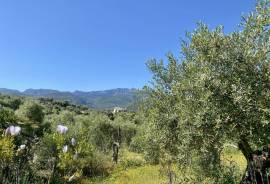 Stunning Sierra Sunset Eco Country Property