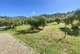 Stunning Sierra Sunset Eco Country Property