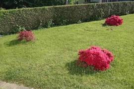 Excellent 5 Bed House For Sale In Marcillac-la-Croisille
